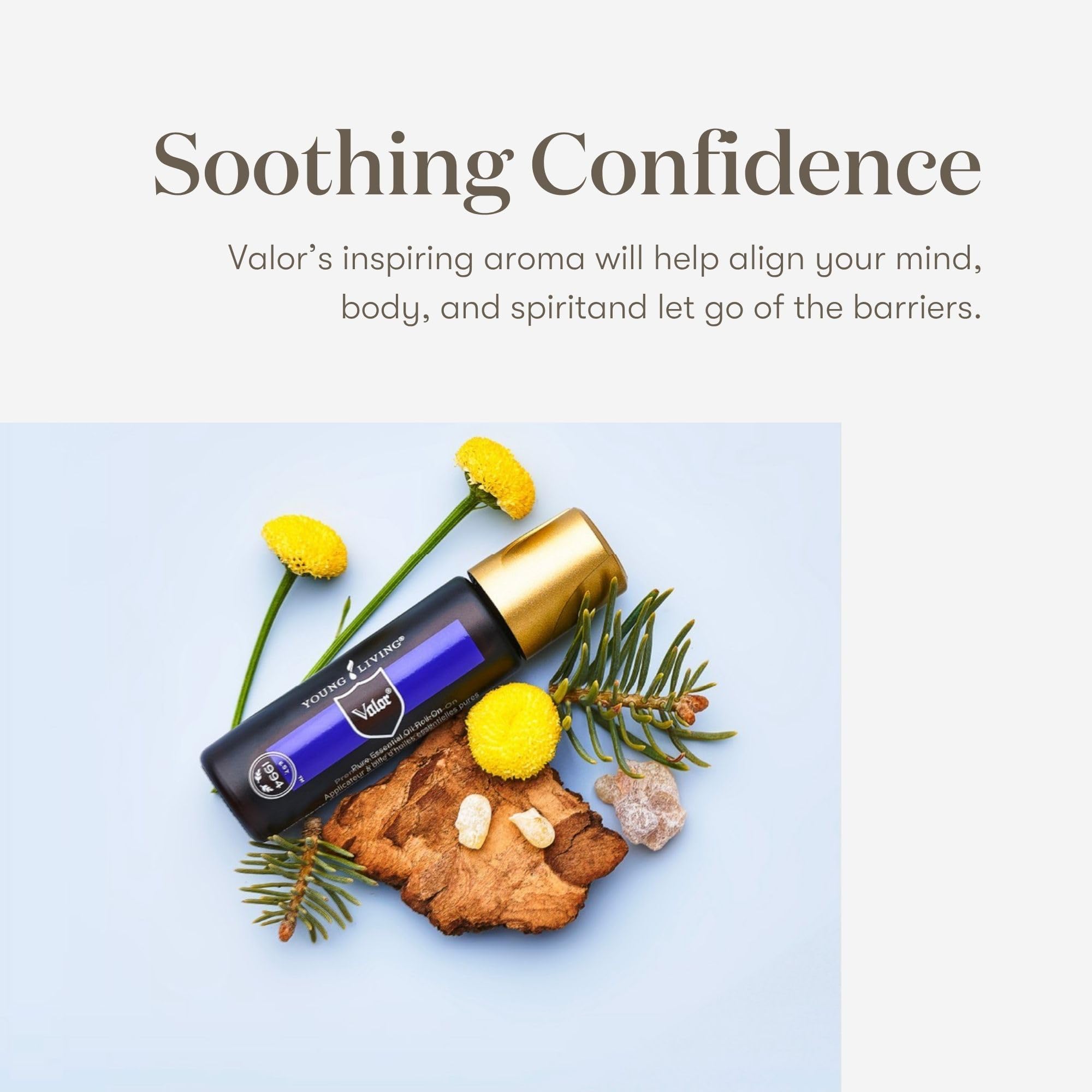 Amazon.com: Young Living Valor Roll-On 10 ml - Essential Oil with